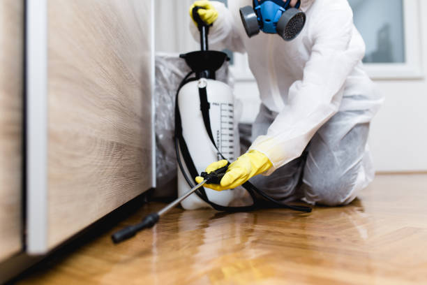 Best Bed Bug Extermination  in Chula Vista, CA