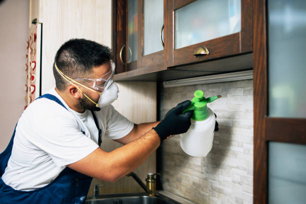  Chula Vista, CA Pest Control Pros