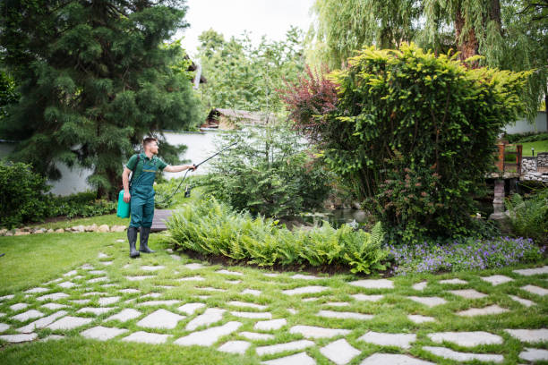 Best Best Pest Control Companies  in Chula Vista, CA
