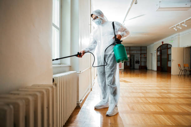 Best Pest Removal Services  in Chula Vista, CA
