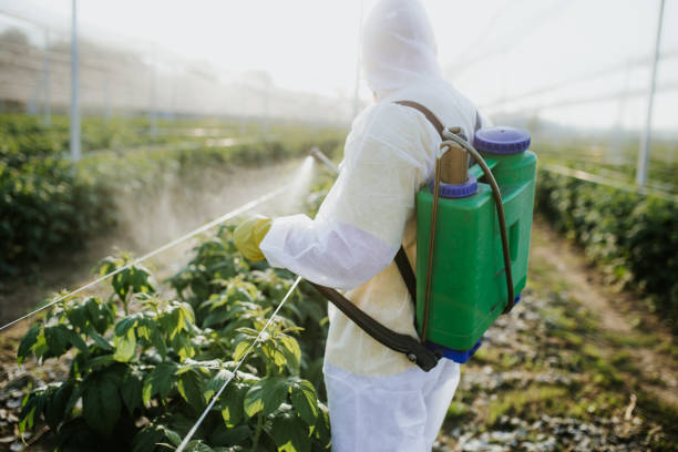 Best Best Pest Control Companies  in Chula Vista, CA